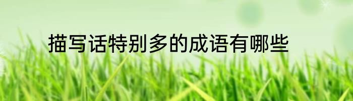 描写话特别多的成语有哪些