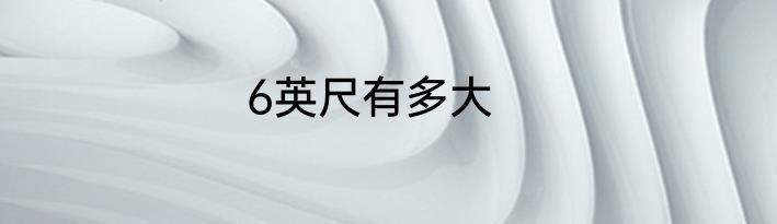 6英尺有多大