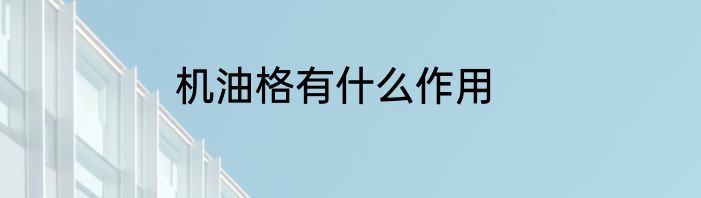 机油格有什么作用