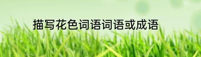 描写花色词语词语或成语