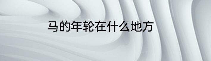 马的年轮在什么地方