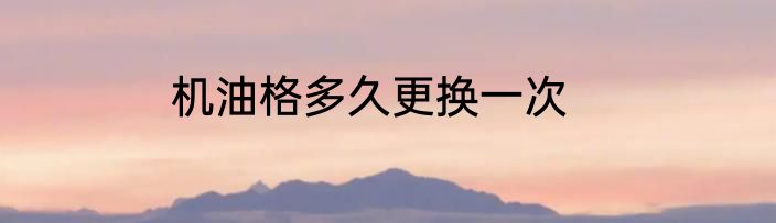 机油格多久更换一次