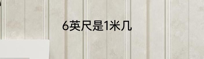 6英尺是1米几
