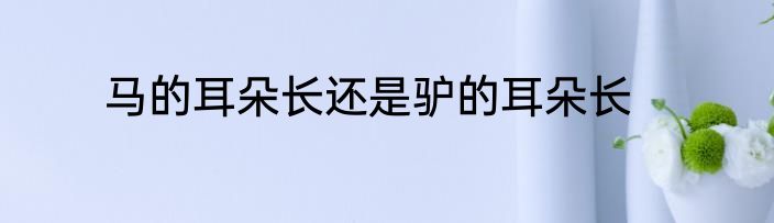 马的耳朵长还是驴的耳朵长