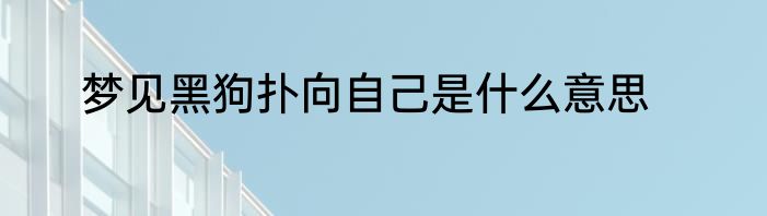 梦见黑狗扑向自己是什么意思