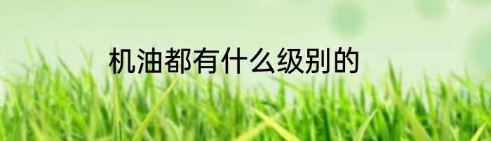机油都有什么级别的