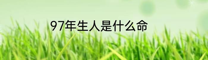 97年生人是什么命