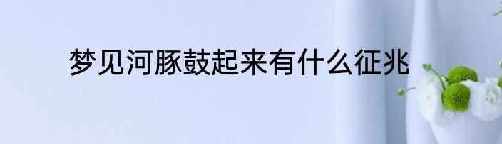 梦见河豚鼓起来有什么征兆