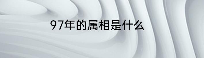 97年的属相是什么