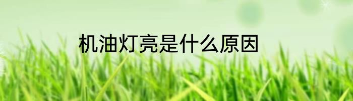 机油灯亮是什么原因