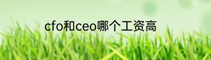 cfo和ceo哪个工资高