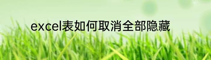 excel表如何取消全部隐藏