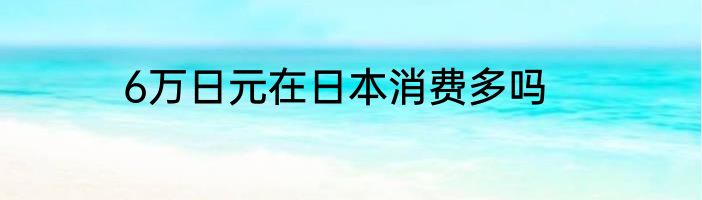 6万日元在日本消费多吗