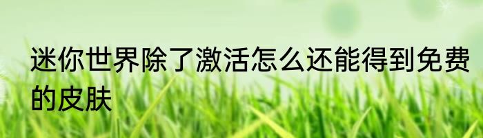 迷你世界除了激活怎么还能得到免费的皮肤