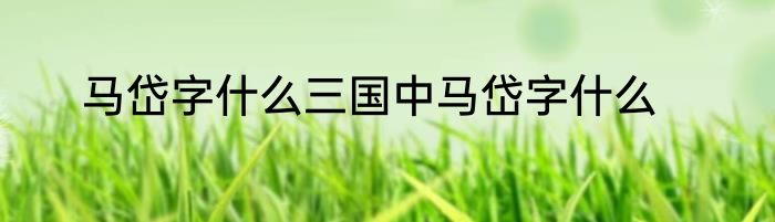 马岱字什么三国中马岱字什么