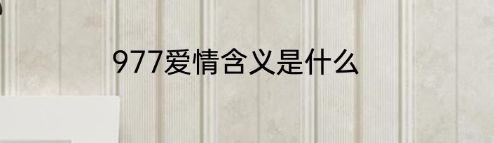 977爱情含义是什么