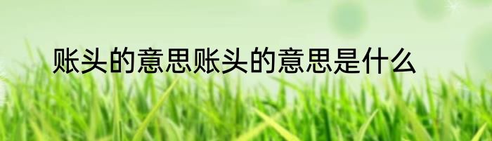 账头的意思账头的意思是什么