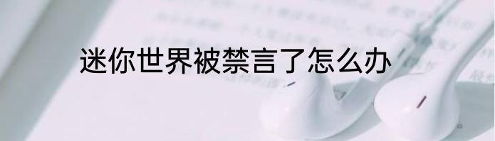 迷你世界被禁言了怎么办