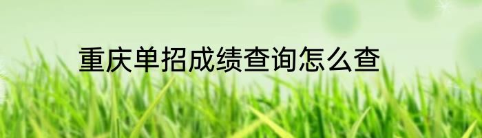 重庆单招成绩查询怎么查