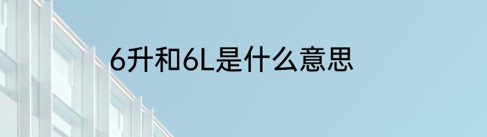 6升和6L是什么意思