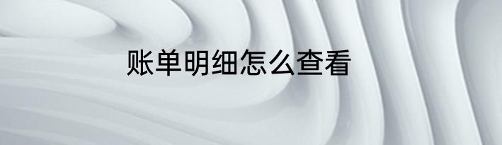 账单明细怎么查看