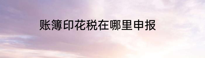 账簿印花税在哪里申报