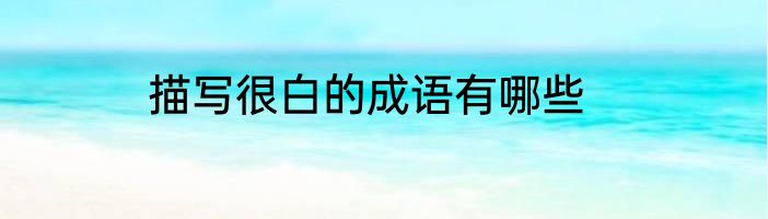 描写很白的成语有哪些