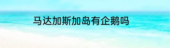马达加斯加岛有企鹅吗
