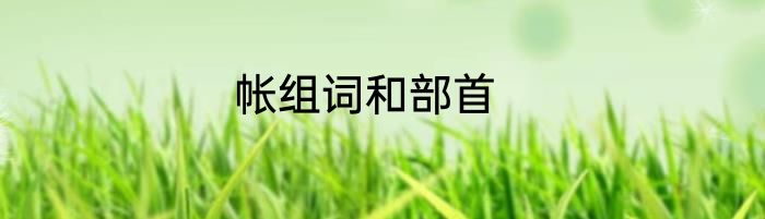 帐组词和部首