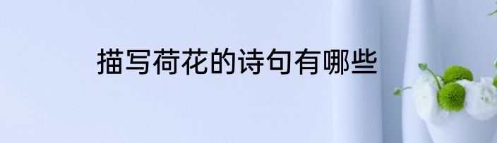 描写荷花的诗句有哪些