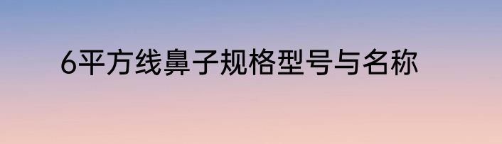 6平方线鼻子规格型号与名称