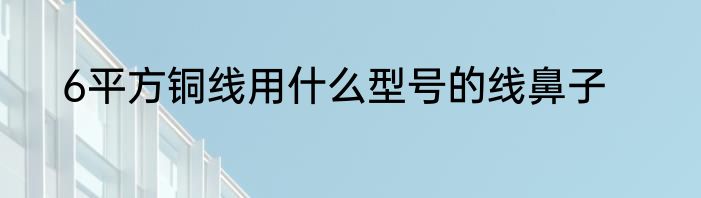 6平方铜线用什么型号的线鼻子