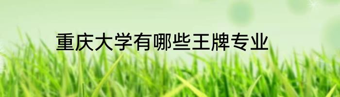 重庆大学有哪些王牌专业