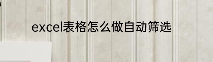 excel表格怎么做自动筛选
