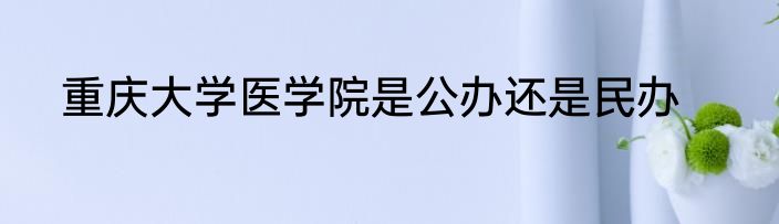 重庆大学医学院是公办还是民办