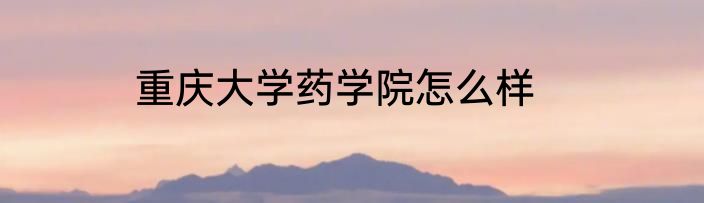 重庆大学药学院怎么样