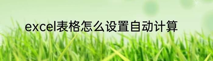 excel表格怎么设置自动计算