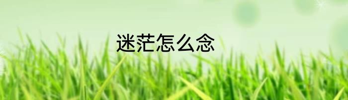 迷茫怎么念