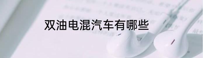 双油电混汽车有哪些