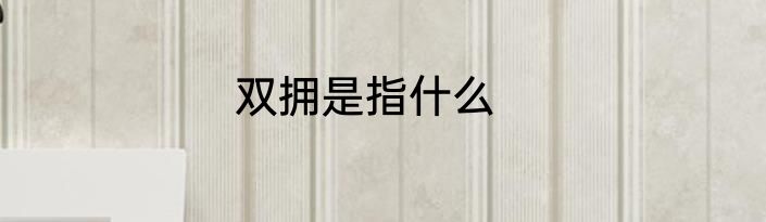 双拥是指什么
