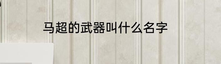 马超的武器叫什么名字
