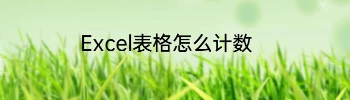 Excel表格怎么计数