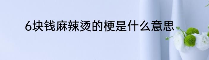 6块钱麻辣烫的梗是什么意思