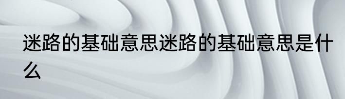 迷路的基础意思迷路的基础意思是什么