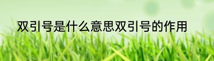 969448266什么意思汉语
