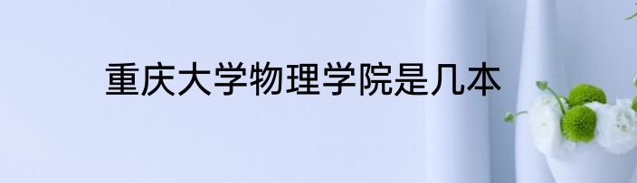 重庆大学物理学院是几本