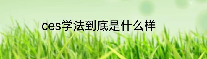 ces学法到底是什么样