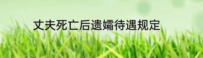 丈夫死亡后遗孀待遇规定