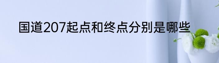 国道207起点和终点分别是哪些