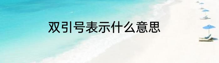 双引号表示什么意思